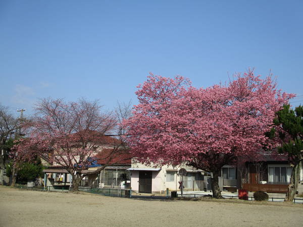 f:id:midorineko_cutter_mat:20210310142132j:plain