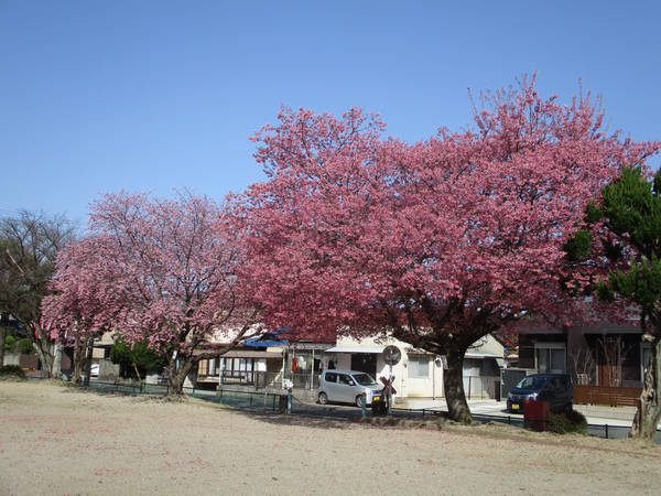 f:id:midorineko_cutter_mat:20210317112129j:plain