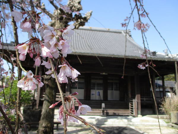 f:id:midorineko_cutter_mat:20210317115303j:plain