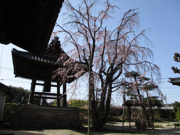f:id:midorineko_cutter_mat:20210317115343j:plain