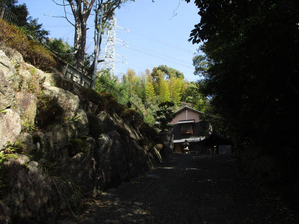 f:id:midorineko_cutter_mat:20210318212737j:plain