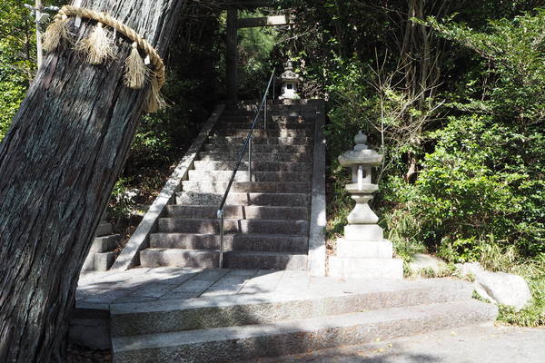 f:id:midorineko_cutter_mat:20210318213928j:plain