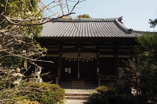 f:id:midorineko_cutter_mat:20210318214032j:plain