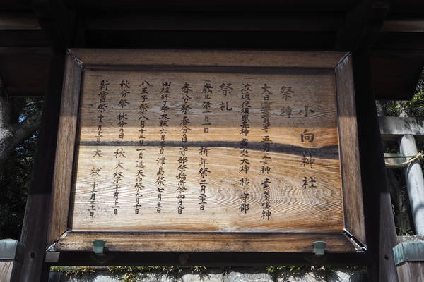 f:id:midorineko_cutter_mat:20210318214954j:plain
