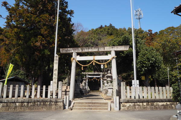 f:id:midorineko_cutter_mat:20210318225821j:plain