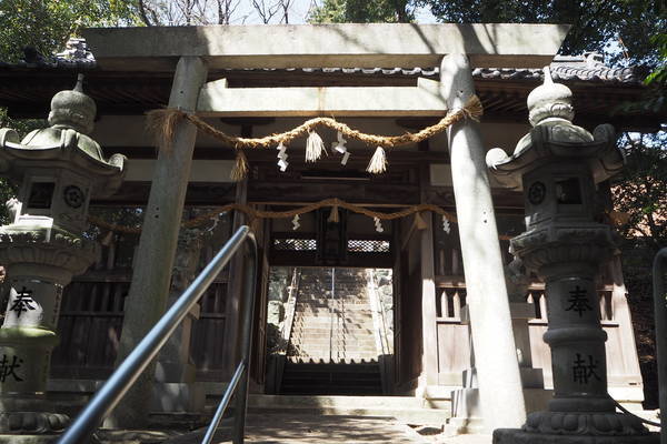 f:id:midorineko_cutter_mat:20210318230144j:plain