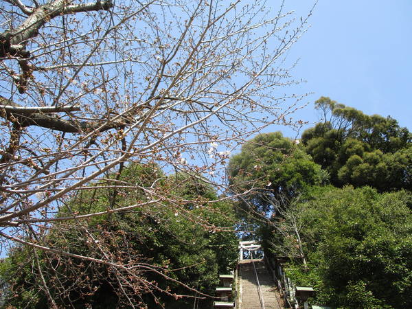 f:id:midorineko_cutter_mat:20210324211226j:plain