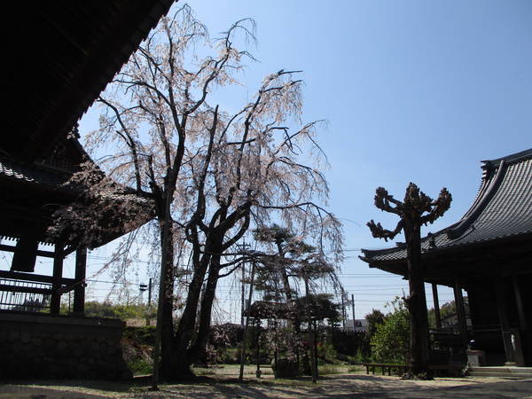 f:id:midorineko_cutter_mat:20210324211252j:plain