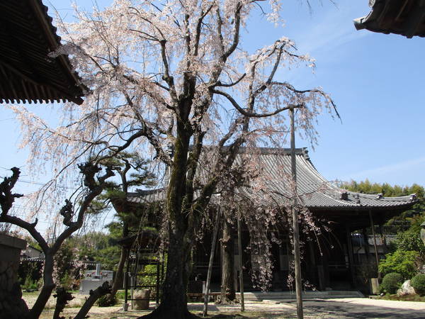 f:id:midorineko_cutter_mat:20210324211305j:plain