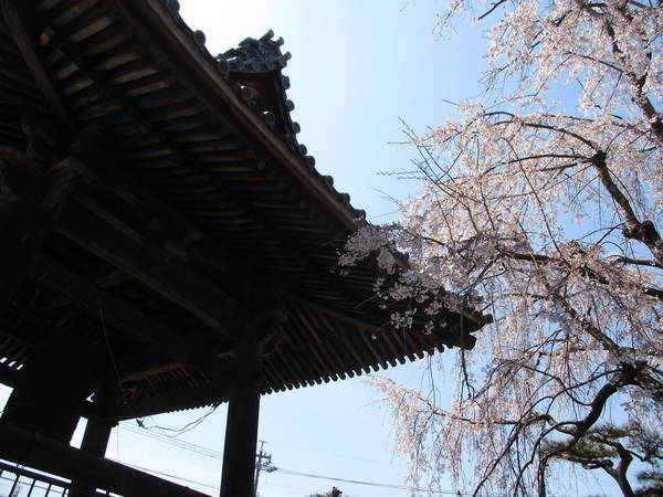 f:id:midorineko_cutter_mat:20210324211317j:plain