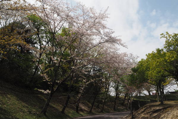 f:id:midorineko_cutter_mat:20210403233840j:plain
