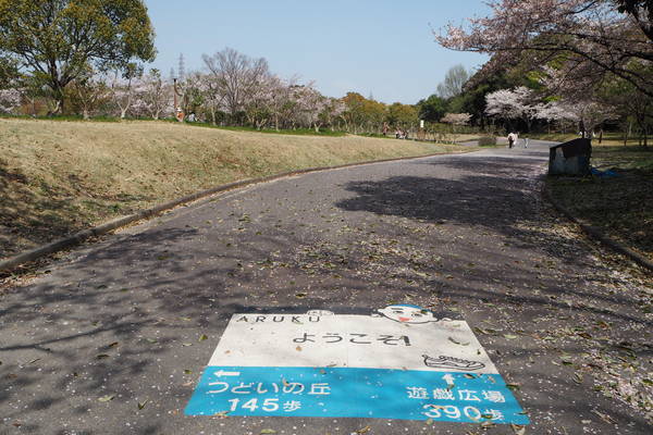 f:id:midorineko_cutter_mat:20210403233906j:plain
