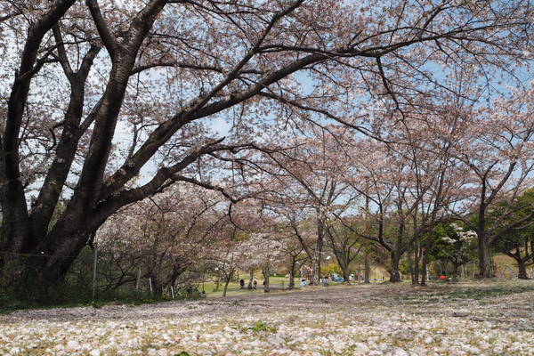 f:id:midorineko_cutter_mat:20210403233957j:plain