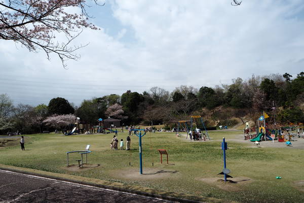 f:id:midorineko_cutter_mat:20210403235033j:plain