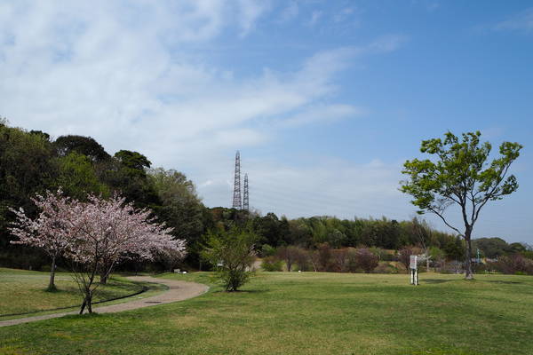 f:id:midorineko_cutter_mat:20210403235227j:plain