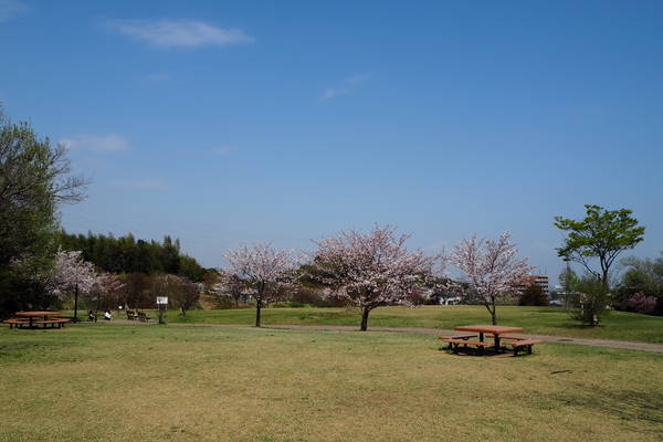 f:id:midorineko_cutter_mat:20210403235257j:plain