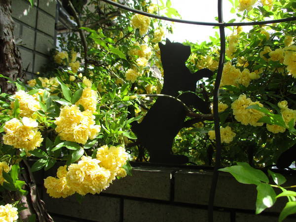 f:id:midorineko_cutter_mat:20210419132822j:plain