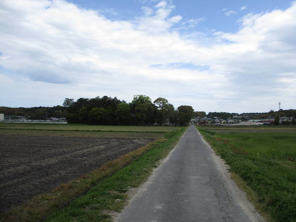 f:id:midorineko_cutter_mat:20210425164127j:plain