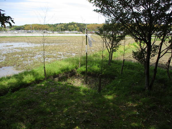 f:id:midorineko_cutter_mat:20210425164254j:plain