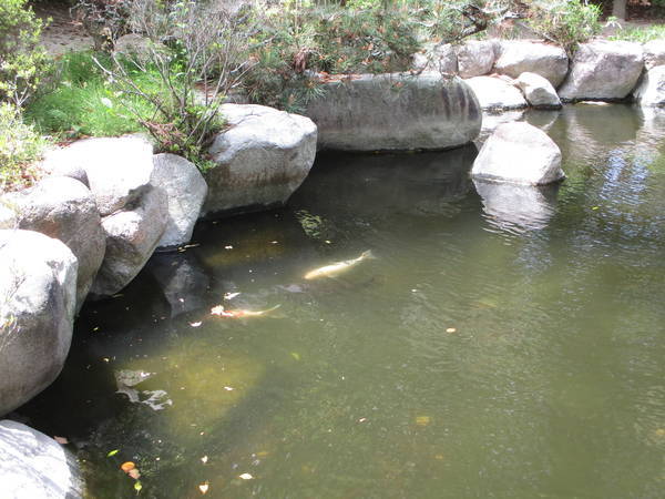 f:id:midorineko_cutter_mat:20210425164339j:plain