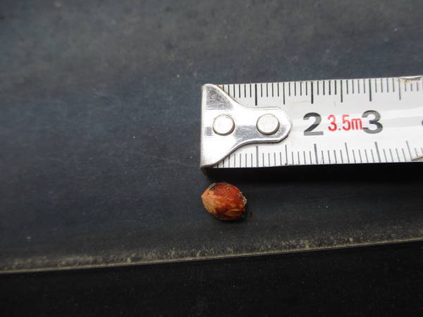 f:id:midorineko_cutter_mat:20210511224705j:plain