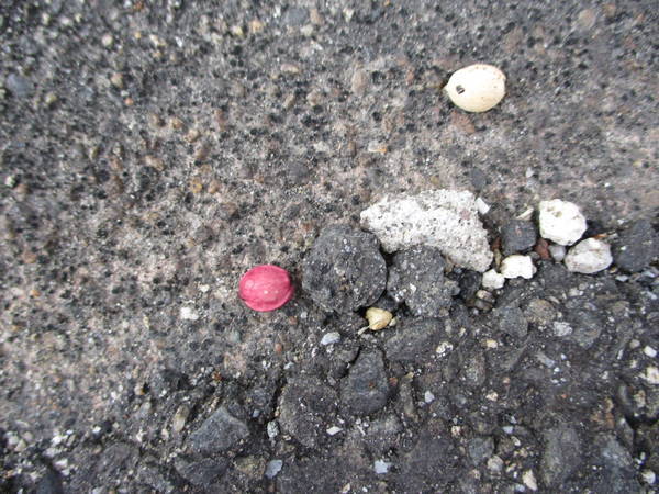 f:id:midorineko_cutter_mat:20210511225109j:plain