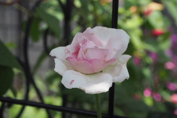 f:id:midorineko_cutter_mat:20210531131918j:plain