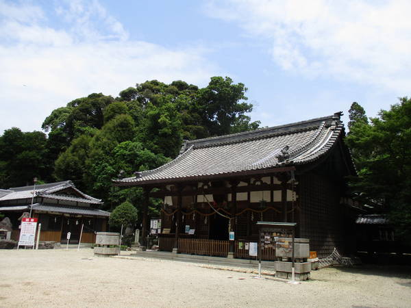 f:id:midorineko_cutter_mat:20210625164558j:plain