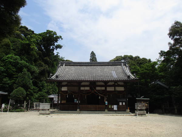 f:id:midorineko_cutter_mat:20210625164608j:plain