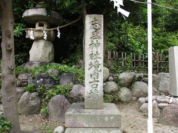 f:id:midorineko_cutter_mat:20210625164639j:plain