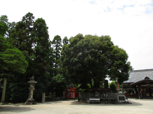 f:id:midorineko_cutter_mat:20210625164741j:plain