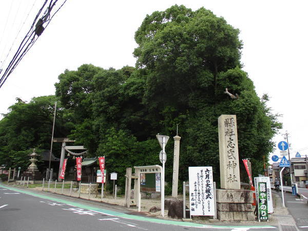 f:id:midorineko_cutter_mat:20210625165511j:plain