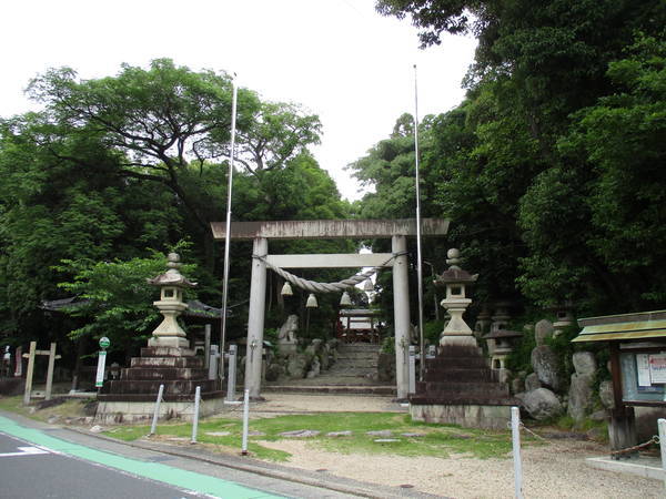 f:id:midorineko_cutter_mat:20210625165543j:plain