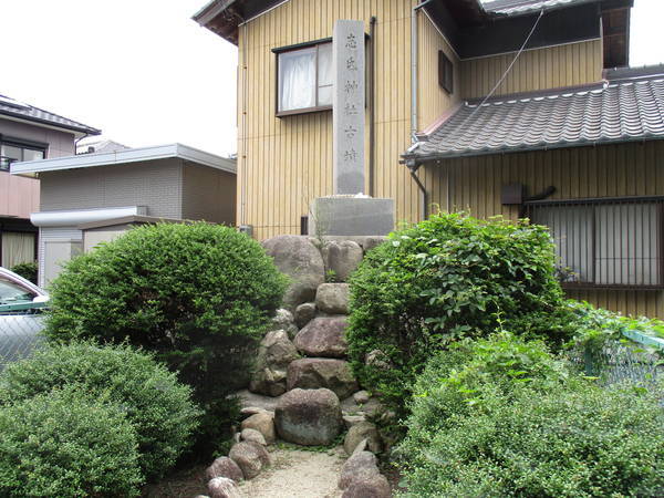 f:id:midorineko_cutter_mat:20210625170218j:plain