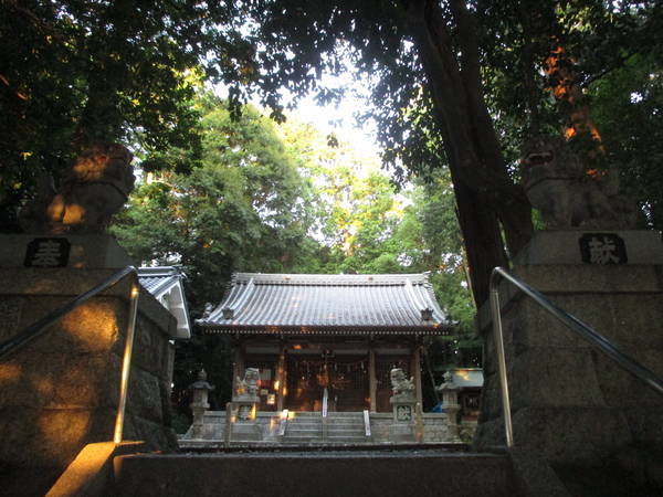 f:id:midorineko_cutter_mat:20210724212827j:plain