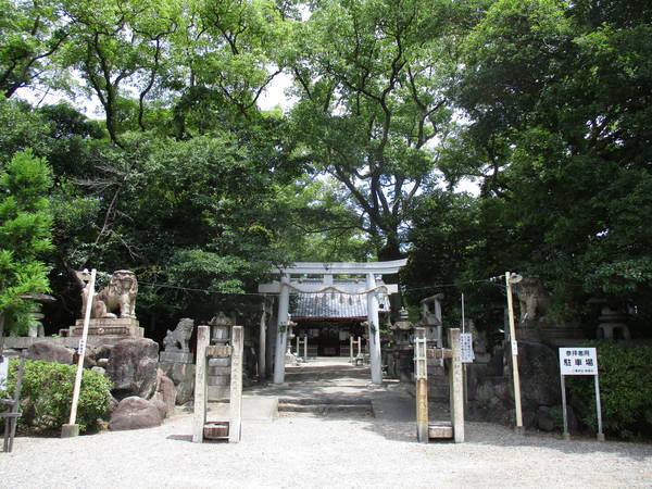 f:id:midorineko_cutter_mat:20210729094623j:plain