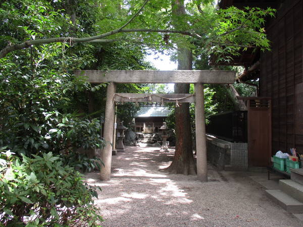 f:id:midorineko_cutter_mat:20210729094836j:plain
