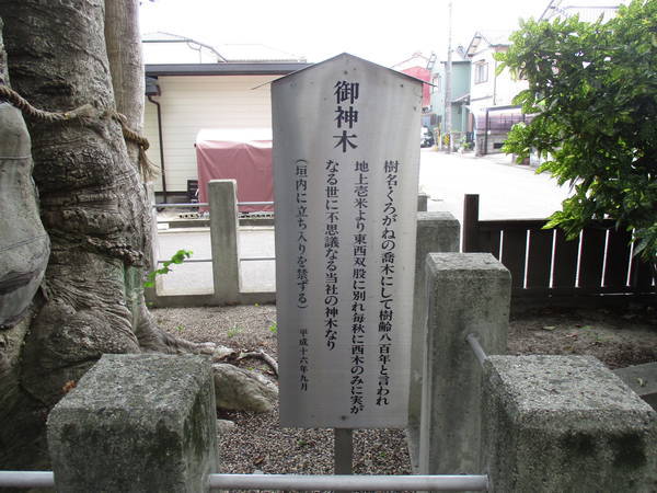 f:id:midorineko_cutter_mat:20210729094844j:plain
