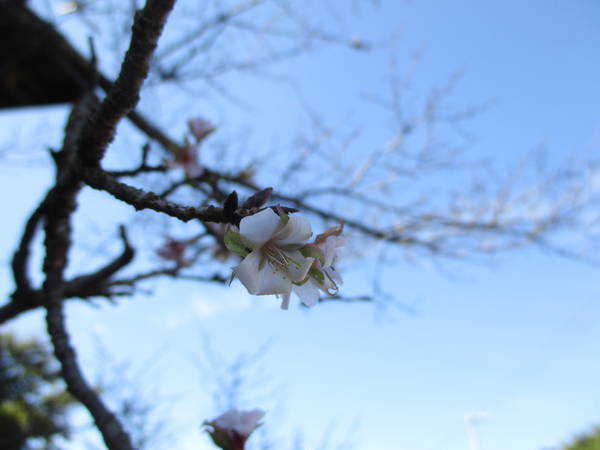 f:id:midorineko_cutter_mat:20211103143043j:plain