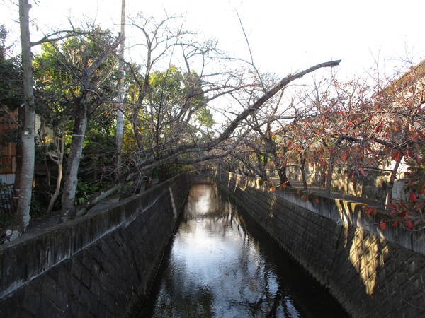 f:id:midorineko_cutter_mat:20211110154018j:plain