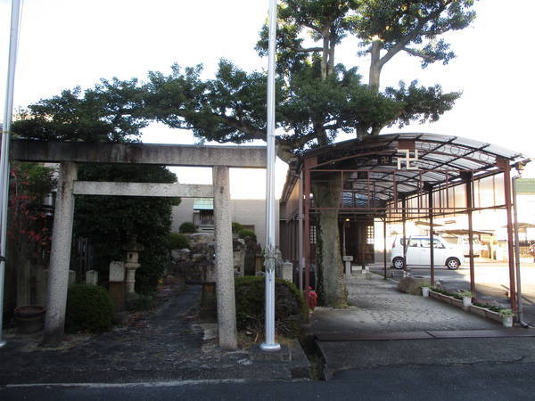 f:id:midorineko_cutter_mat:20211110154639j:plain