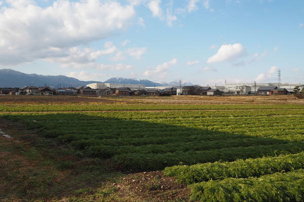 f:id:midorineko_cutter_mat:20211230180000j:plain