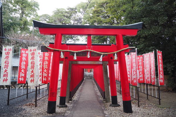 f:id:midorineko_cutter_mat:20220112113639j:plain
