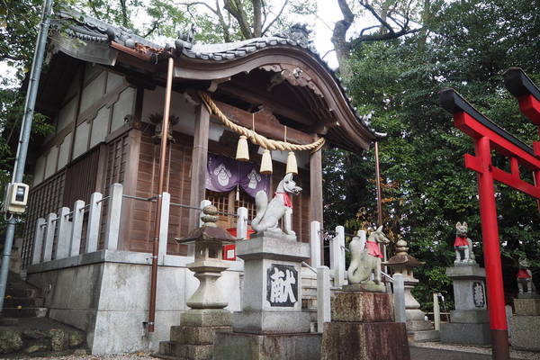 f:id:midorineko_cutter_mat:20220112113653j:plain