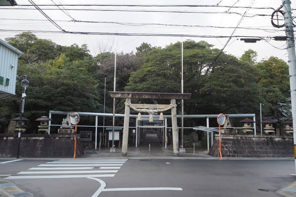 f:id:midorineko_cutter_mat:20220112113728j:plain