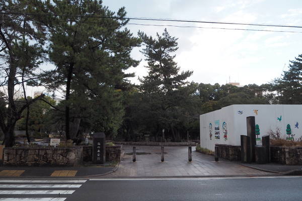f:id:midorineko_cutter_mat:20220112113751j:plain