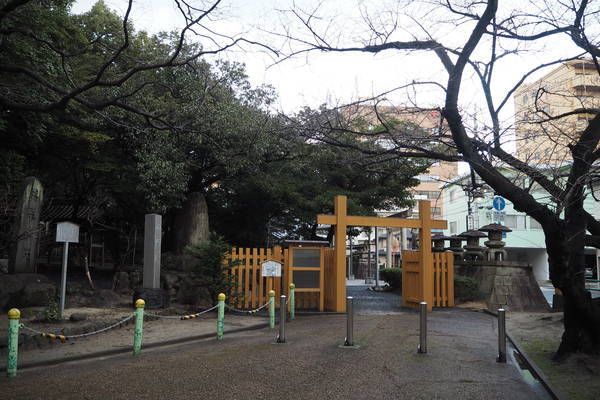 f:id:midorineko_cutter_mat:20220112113803j:plain