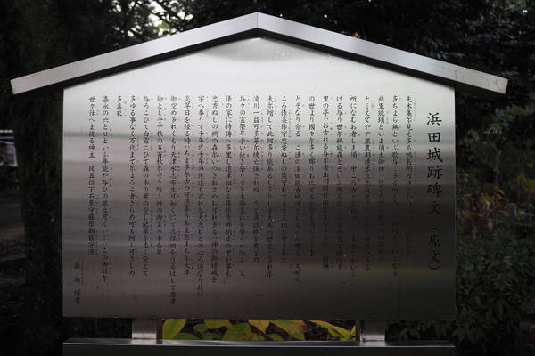 f:id:midorineko_cutter_mat:20220112113837j:plain