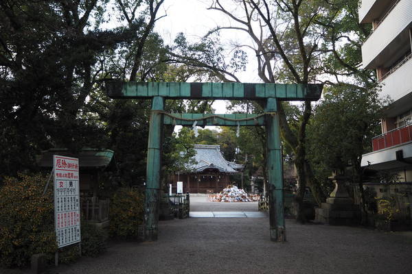 f:id:midorineko_cutter_mat:20220112135615j:plain