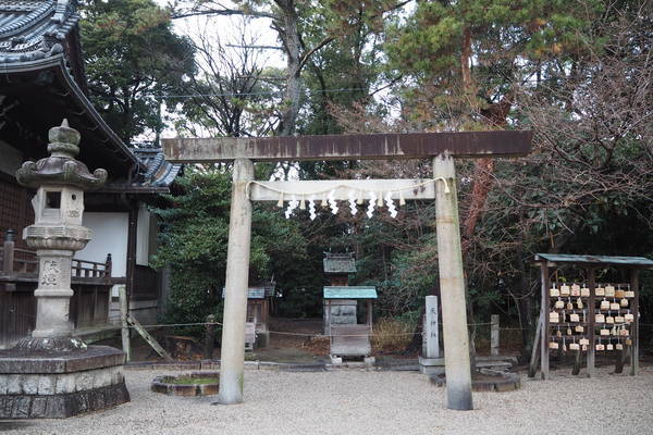 f:id:midorineko_cutter_mat:20220112135806j:plain
